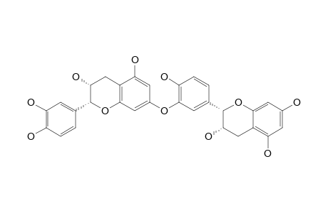 EPICATECHIN-(3'->O->7'')-EPIAFZELECHIN