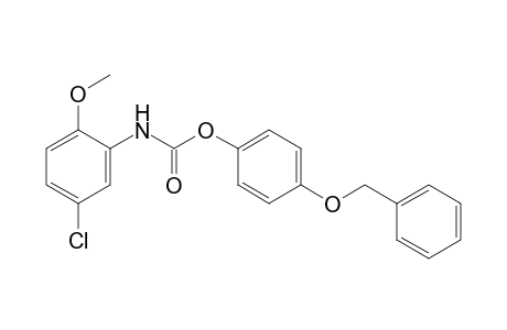 5-chloro-2-methoxycarbanilic acid, p-(benzyloxy)phenyl ester