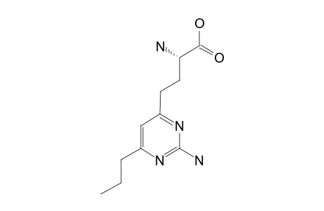 (S)-GAMMA-(2-AMINO-6-PROPYLPYRIMIDIN-4-YL)-ALPHA-AMINOBUTYRIC-ACID