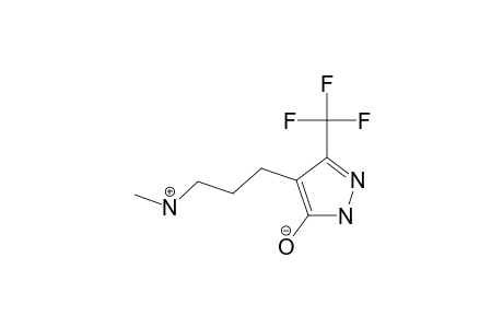 5-HYDROXY-4-(3-METHYLAMINOPROPYL)-3-TRIFLUOROMETHYLPYRAZOLE