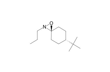 (TRANS)-6-TERT.-BUTYL-2-NORMAL-PROPYL-1-OXA-2-AZASPIRO-[2.5]-OCTANE