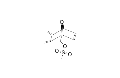 5,6-DIMETHYLIDENE-7-OXABICYCLO-[2.2.1]-HEPT-2-ENE-1-METHYLMETHANESULFONATE