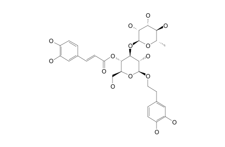 VERBASCOSIDE;ACTEOSIDE