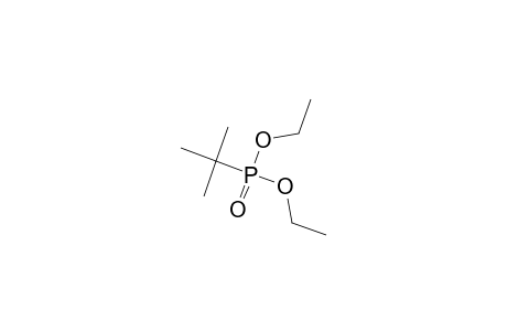 Diethyl tert-butylphosphonate