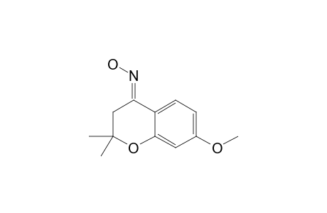 (E)-7-METHOXY-2,2-DIMETHYL-4-CHROMANONE-OXIME