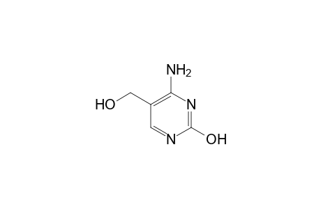 5-Hydroxymethylxytosine