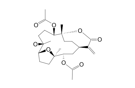 DENDRONPHOLIDE_Q