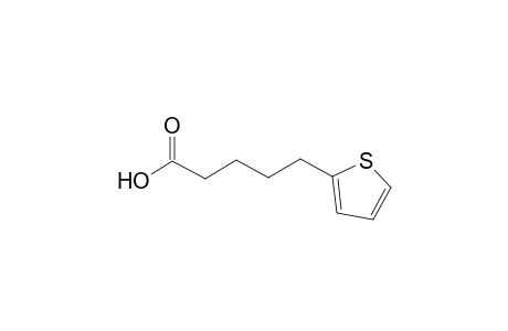 5-(2-Thienyl)pentanoic acid