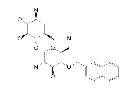 4'-MONO-O-[(2-NAPHTHYL)-METHYL]_NEAMINE