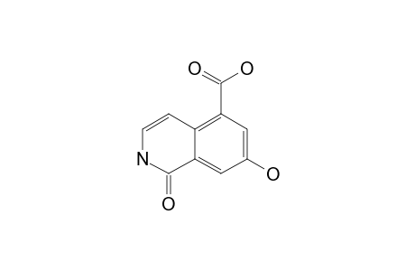 7-HYDROXY-1-OXO-1,2-DIHYDROISOQUINOLINE-5-CARBOXYLIC_ACID