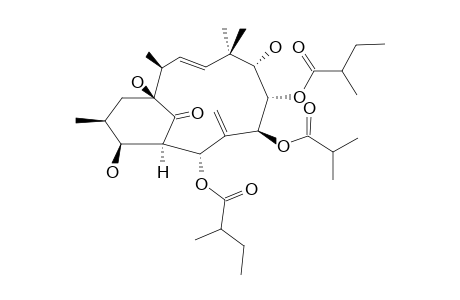 (2S,3S,4R,5R,7S,8S,9S,11E,13S,14S)-3,5,7,8,9,14-HEXAHYDROXY-1(15->14)-ABEO-JATROPHA-6(17),11-DIEN-15-ONE-5,8-BIS-(2-METHYLBUTYRATE)-7-(2-ME