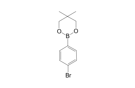 4-Bromobenzeneboronic acid neopentyl glycol ester