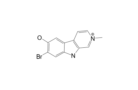 2-METHYLEUDISTOMIN-J