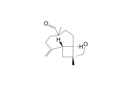 (1R,9S,11R)-4,11-DIMETHYL-4-FORMYL-11-HYDROXYMETHYL-8-METHYLENE-BICYCLO-[6,2,0]-DECANE