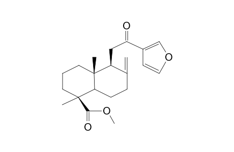 METHYL-12-OXO-LAMBERTIANATE