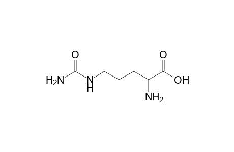 dl-Citrulline