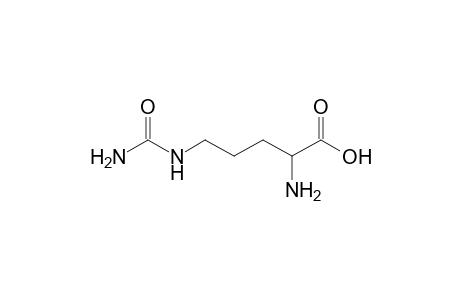 dl-Citrulline