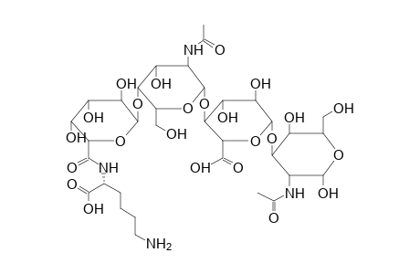 ALPHA-TETRASACCHARIDE 1 (FROM PROTEUS HAUSERI)