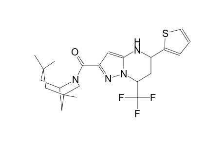 5-(2-thienyl)-7-(trifluoromethyl)-2-[(1,3,3-trimethyl-6-azabicyclo[3.2.1]oct-6-yl)carbonyl]-4,5,6,7-tetrahydropyrazolo[1,5-a]pyrimidine