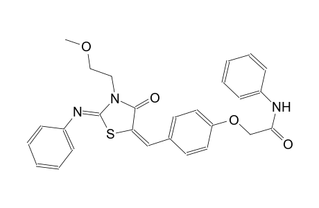 2-(4-{(E)-[(2Z)-3-(2-methoxyethyl)-4-oxo-2-(phenylimino)-1,3-thiazolidin-5-ylidene]methyl}phenoxy)-N-phenylacetamide