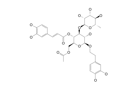 6''-O-ACETYLVERBASCOSIDE