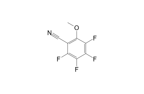 TETRAFLUORO-2-METHOXYBENZONITRILE