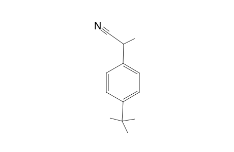 1-tert-Butyl-4-[1-(isocyanomethyl)]benzene