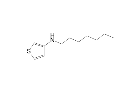 3-N-(Heptylamino)thiophene