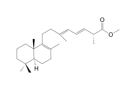 Norsesterterpene Dien Ester