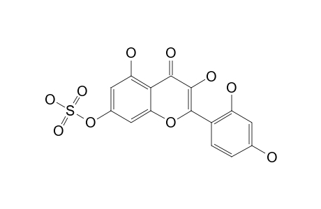 MORIN-SULPHATE;3,5,2',4'-TETRAHYDROXY-7-SULPHATE-FLAVONE