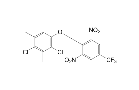 2,4-DICHLORO-3,5-XYLYL 2,6-DINITRO-alpha,alpha,alpha-TRIFLUORO-p-TOLYL ETHER