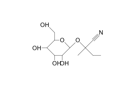 Lotaustralin(R)