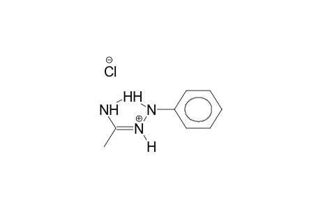 1-PHENYLACETAMIDRAZONIUM CHLORIDE