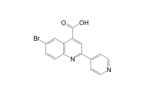 6-bromo-2-(4-pyridyl)cinchoninic acid