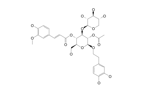 2'-O-ACETYL-3''-O-METHYL-CONANDROSIDE;AESCHYNANTHOSIDE-B