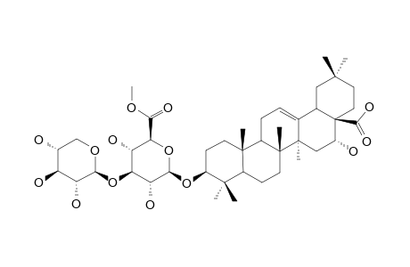 3-O-BETA-[XYLOPYRANOSYL-(1->3)-(6-O-METHYL)-GLUCURONOPYRANOSYL]-ECHINOCYSTIC-ACID