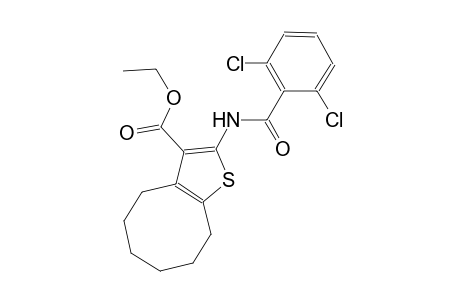 ethyl 2-[(2,6-dichlorobenzoyl)amino]-4,5,6,7,8,9-hexahydrocycloocta[b]thiophene-3-carboxylate