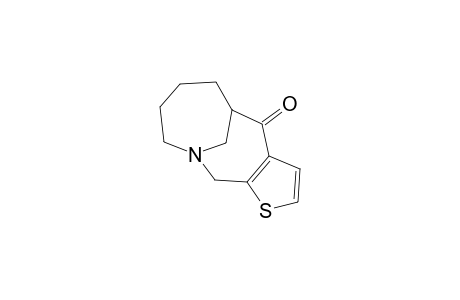 1,2,3,4,6,11-HEXAHYDRO-10,11-METHANO-THIENO-[2,3-C]-AZECIN-10-ONE