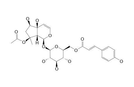 8-O-ACETYL-6'-O-(PARA-COUMAROYL)-HARPAGIDE