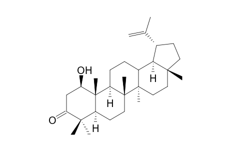 1-Hydroxy-LUP-20(29)-en-3-one;(glochidonol)