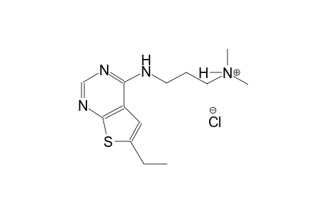 3-[(6-ethylthieno[2,3-d]pyrimidin-4-yl)amino]-N,N-dimethyl-1-propanaminium chloride