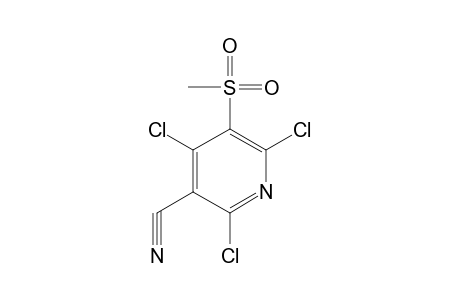 5-(METHYLSULFONYL)-2,4,6-TRICHLORONICOTINONITRILE