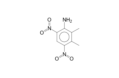 2,3-Dimethyl-4,6-dinitrophenylamine