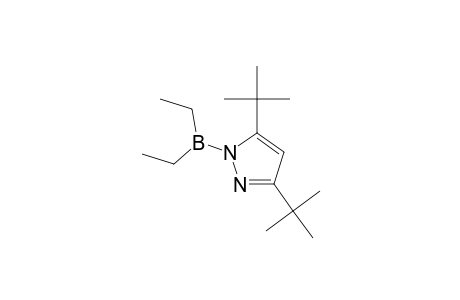 3,5-Ditert-butyl-1-(diethylboryl)-1H-pyrazole