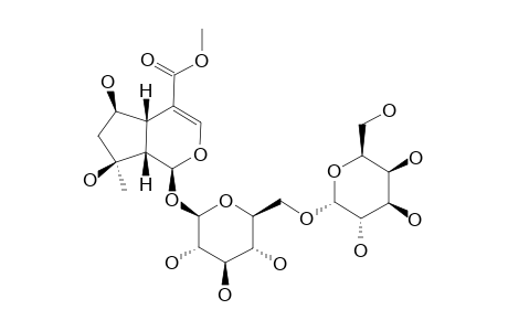 6'-O-ALPHA-D-GALACTOPYRANOSYL-SHANZHISIDE-METHYLESTER