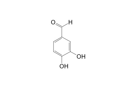 Protocatechualdehyde