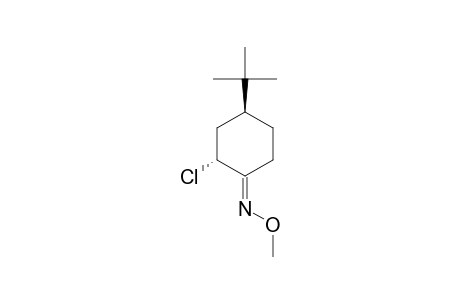 (E)-TRANS-4-TERT.-BUTYL-2-CHLOROCYCLOHEXANONE-O-METHYL-OXIME