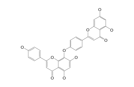 LANAROFLAVONE;4''',5,5'',7,7''-PENTAHYDROXY-4',8''-BIFLAVONYL-ETHER