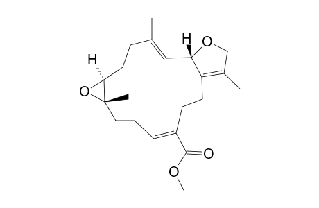 LOBOPHYNIN_C