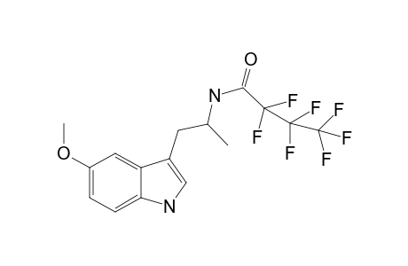 5-MeO-AMT HFB